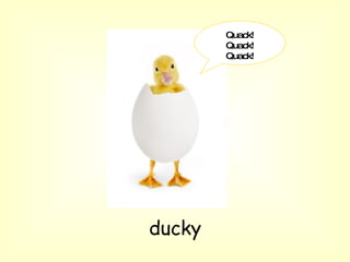 Quack! Quack! Quack! ducky 