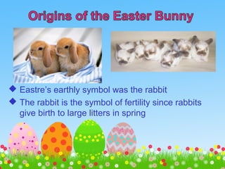  Eastre’s earthly symbol was the rabbit
 The rabbit is the symbol of fertility since rabbits
give birth to large litters in spring
 