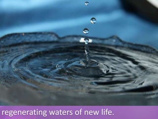regenerating waters of new life.
 