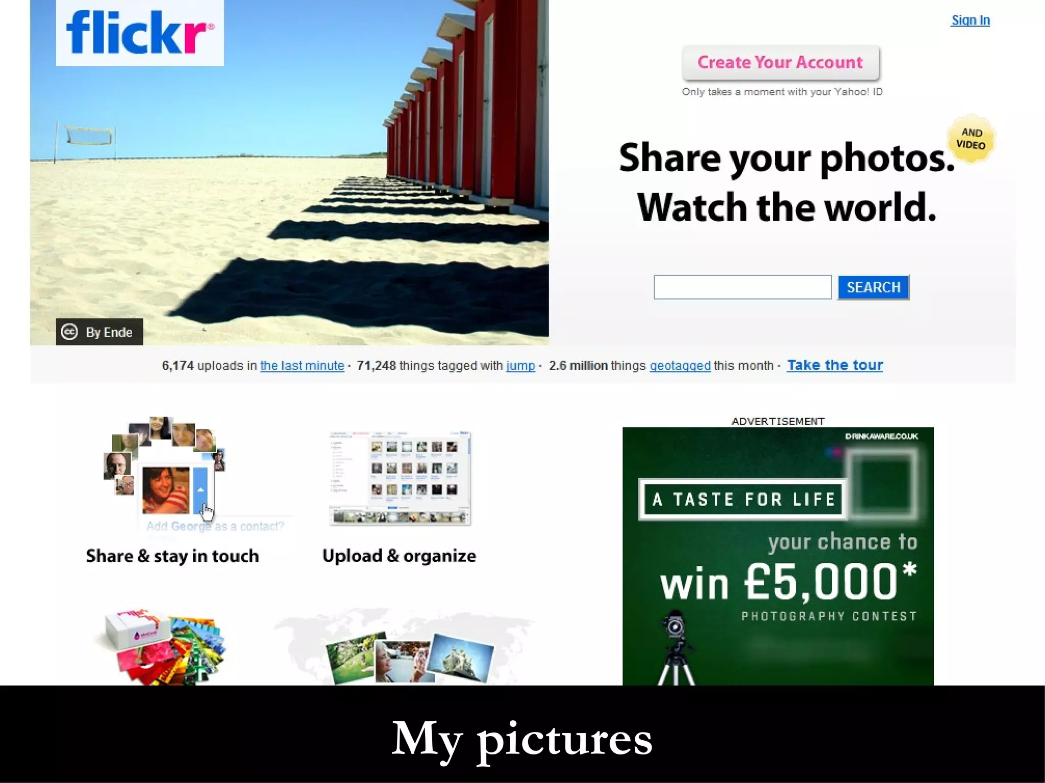 My pictures 