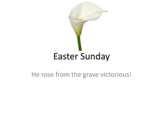 Easter Sunday
He rose from the grave victorious!
 