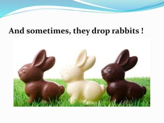 And sometimes, they drop rabbits !