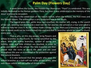 Palm Day (Flowers Day) A week before the Easter, the Flowers Day (Romanian: “Florii”) is celebrated. This was initially dedicated to the Roman goddess Flora, but then it was celebrated in the memory of the Jesus’ entrance to Jerusalem. This day is the celebration of the nature revival, when the willows, the fruit trees and the flowers bloom. The willow plays a very important role in the rituals. The legend goes that, while Jesus was crucified, His mother left, crying, in the search of her son, wearing iron boots and a steel rod. On her journey she arrived at a river and asked a willow to help her cross it. As the willow made a bridge for her, Mary put a blessing on it, stating that its wood could not be transformed into coal and that its branches would be taken to church every year. That is why, on this day people bring flowers and willow branches to the church, for being sanctified by the priest. With the willow branches, symbol of spring and fertility, cows and little children are touched, in order to grow and bloom as the willow. The holy branches are then placed near the icons or above the door and are used throughout the year as a medicine or for protection against the natural disasters. It is also believed that the people who wear the willow branches as a belt will not suffer of loin aches; who eats three catkins will not suffer of throat aches. 