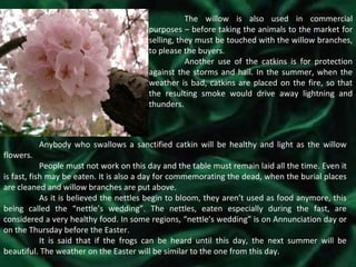 The willow is also used in commercial purposes – before taking the animals to the market for selling, they must be touched with the willow branches, to please the buyers. Another use of the catkins is for protection against the storms and hail. In the summer, when the weather is bad, catkins are placed on the fire, so that the resulting smoke would drive away lightning and thunders. Anybody who swallows a sanctified catkin will be healthy and light as the willow flowers. People must not work on this day and the table must remain laid all the time. Even it is fast, fish may be eaten. It is also a day for commemorating the dead, when the burial places are cleaned and willow branches are put above. As it is believed the nettles begin to bloom, they aren’t used as food anymore, this being called the “nettle’s wedding”. The nettles, eaten especially during the fast, are considered a very healthy food. In some regions, “nettle’s wedding” is on Annunciation day or on the Thursday before the Easter. It is said that if the frogs can be heard until this day, the next summer will be beautiful. The weather on the Easter will be similar to the one from this day. 