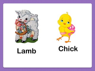 Lamb Chick
 