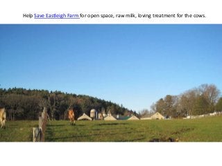 Help Save Eastleigh Farm for open space, raw milk, loving treatment for the cows.
 