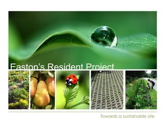 Easton’s Resident Project
Towards a sustainable site
 