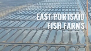 FOOD SECURITY AND SDGs
EAST PORTSAID
FISH FARMS
 