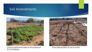 Soil Amendments
County maintenance helps to till compost at
El Cerro Mission
Straw bale donation to use as mulch
 
