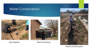 Water Conservation
Heavily mulched paths
Water HarvestingDrip Irrigation
 