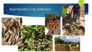 Appropriate Crop Selection
 