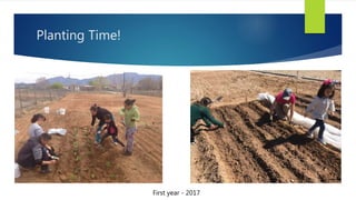 Planting Time!
First year - 2017
 