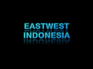 NEON TUBES EASTWEST INDONESIA 