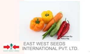 EAST WEST SEEDS
INTERNATIONAL PVT. LTD. 1
Presented By-
Rahul Raj
 
