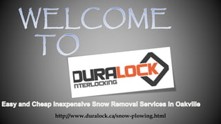 http://www.duralock.ca/snow-plowing.html
 