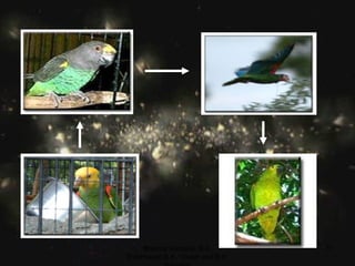 Brahma Kumaris, B.K. ShibPrasad,B.K. Vikash and B.K. Saurabh 