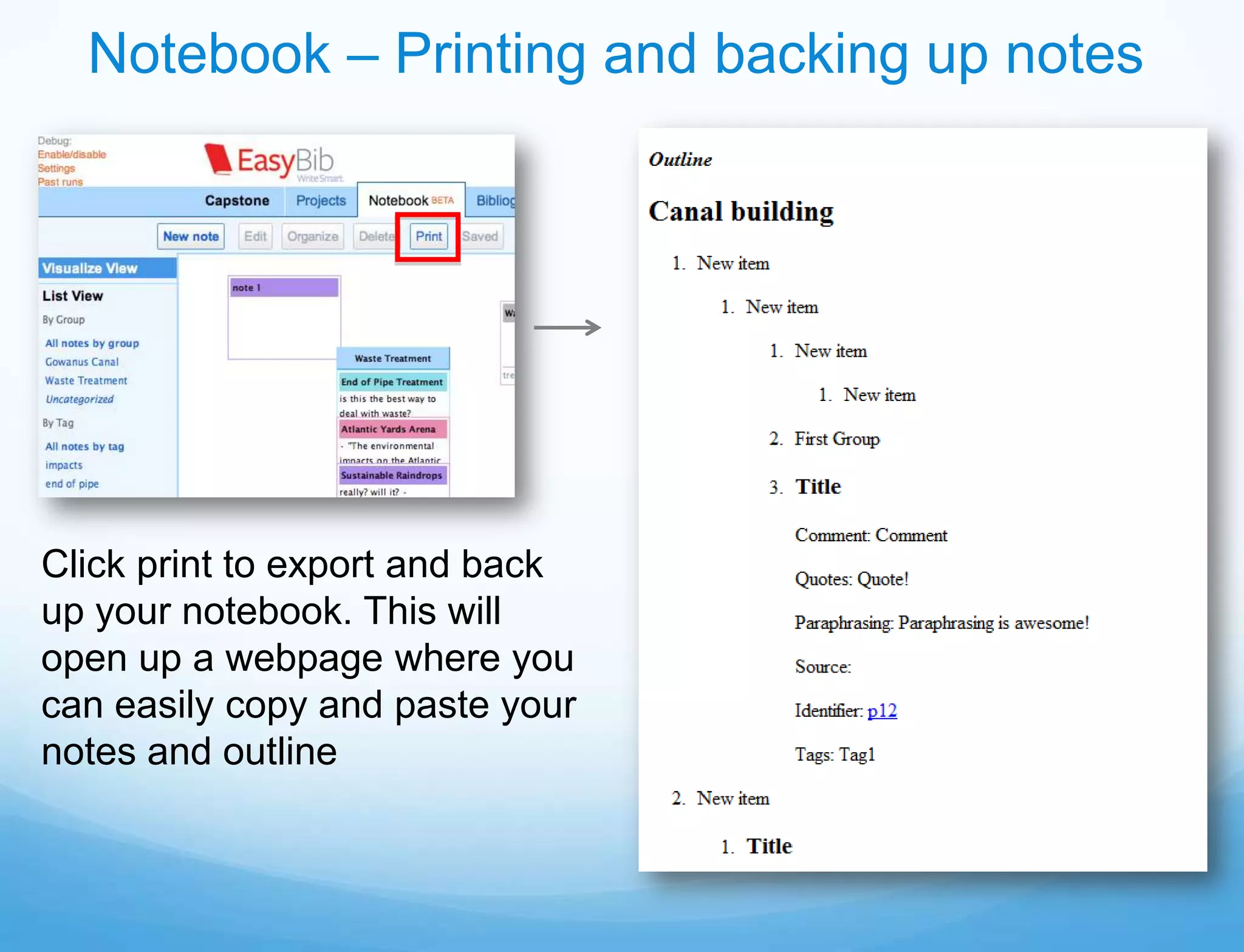 Notebook – Printing and backing up notes




Click print to export and back
up your notebook. This will
open up a webpage where you
can easily copy and paste your
notes and outline
 
