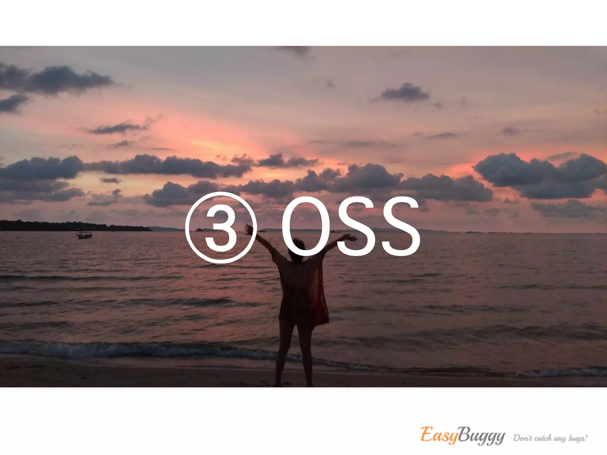 ③ OSS
 