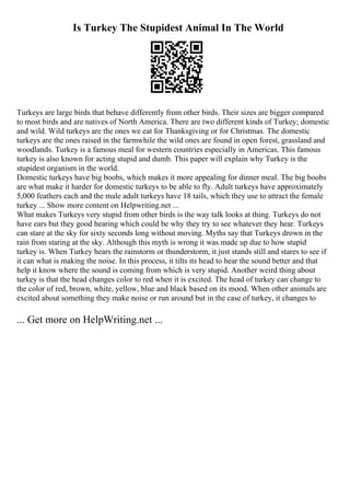 Is Turkey The Stupidest Animal In The World
Turkeys are large birds that behave differently from other birds. Their sizes are bigger compared
to most birds and are natives of North America. There are two different kinds of Turkey; domestic
and wild. Wild turkeys are the ones we eat for Thanksgiving or for Christmas. The domestic
turkeys are the ones raised in the farmwhile the wild ones are found in open forest, grassland and
woodlands. Turkey is a famous meal for western countries especially in Americas. This famous
turkey is also known for acting stupid and dumb. This paper will explain why Turkey is the
stupidest organism in the world.
Domestic turkeys have big boobs, which makes it more appealing for dinner meal. The big boobs
are what make it harder for domestic turkeys to be able to fly. Adult turkeys have approximately
5,000 feathers each and the male adult turkeys have 18 tails, which they use to attract the female
turkey ... Show more content on Helpwriting.net ...
What makes Turkeys very stupid from other birds is the way talk looks at thing. Turkeys do not
have ears but they good hearing which could be why they try to see whatever they hear. Turkeys
can stare at the sky for sixty seconds long without moving. Myths say that Turkeys drown in the
rain from staring at the sky. Although this myth is wrong it was made up due to how stupid
turkey is. When Turkey hears the rainstorm or thunderstorm, it just stands still and stares to see if
it can what is making the noise. In this process, it tilts its head to hear the sound better and that
help it know where the sound is coming from which is very stupid. Another weird thing about
turkey is that the head changes color to red when it is excited. The head of turkey can change to
the color of red, brown, white, yellow, blue and black based on its mood. When other animals are
excited about something they make noise or run around but in the case of turkey, it changes to
... Get more on HelpWriting.net ...
 