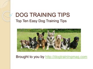 DOG TRAINING TIPS
Top Ten Easy Dog Training Tips
Brought to you by http://dogtrainingmag.com
 