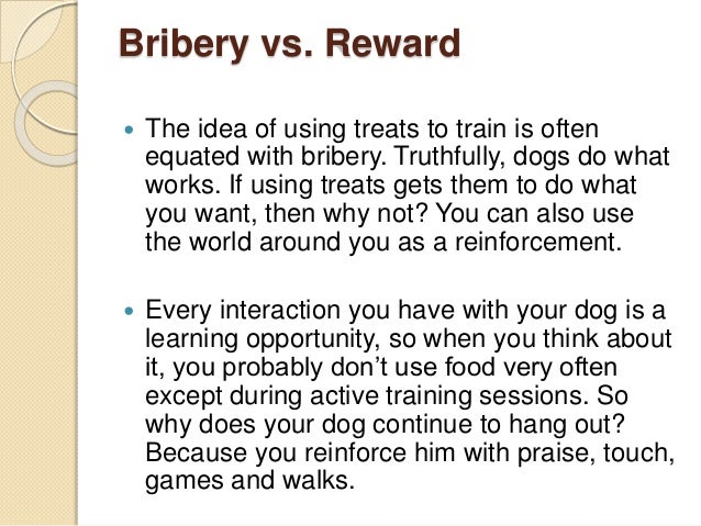 Dog Training Treats Vs Praise Dog Training Treats Vs Praise