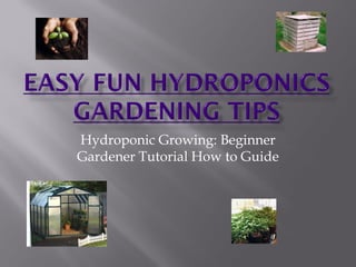 Hydroponic Growing: Beginner
Gardener Tutorial How to Guide
 