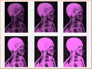Ist die freie Entfaltung des Networking-Gen in Netzwerken die Basis größter Erfolge?