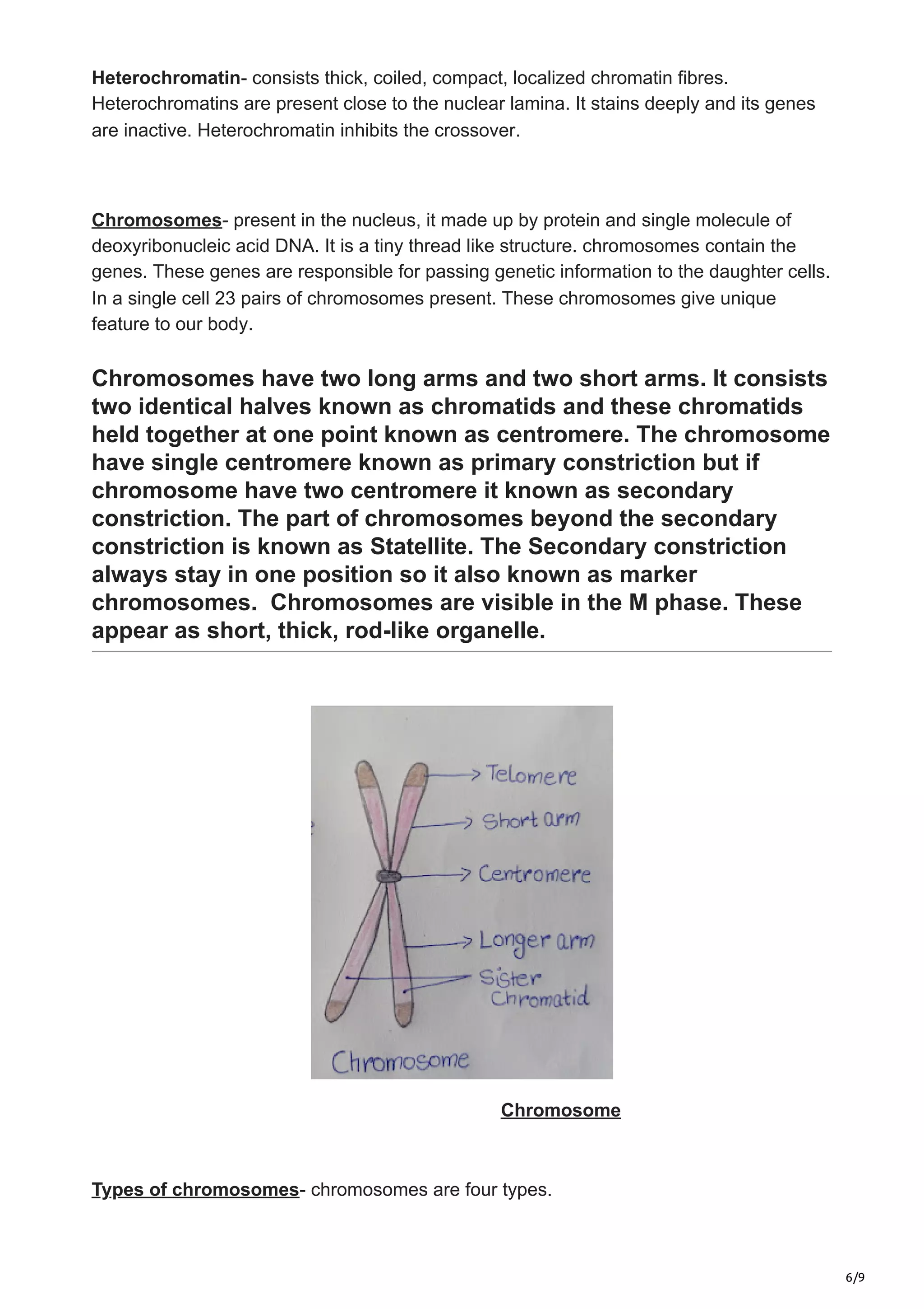 6/9
Heterochromatin- consists thick, coiled, compact, localized chromatin fibres.
Heterochromatins are present close to the nuclear lamina. It stains deeply and its genes
are inactive. Heterochromatin inhibits the crossover.
Chromosomes- present in the nucleus, it made up by protein and single molecule of
deoxyribonucleic acid DNA. It is a tiny thread like structure. chromosomes contain the
genes. These genes are responsible for passing genetic information to the daughter cells.
In a single cell 23 pairs of chromosomes present. These chromosomes give unique
feature to our body.
Chromosomes have two long arms and two short arms. It consists
two identical halves known as chromatids and these chromatids
held together at one point known as centromere. The chromosome
have single centromere known as primary constriction but if
chromosome have two centromere it known as secondary
constriction. The part of chromosomes beyond the secondary
constriction is known as Statellite. The Secondary constriction
always stay in one position so it also known as marker
chromosomes. Chromosomes are visible in the M phase. These
appear as short, thick, rod-like organelle.
Chromosome
Types of chromosomes- chromosomes are four types.
 