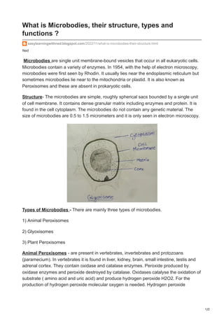 1/2
Ned
What is Microbodies, their structure, types and
functions ?
easylearningwithned.blogspot.com/2022/11/what-is-microbodies-their-structure.html
Microbodies are single unit membrane-bound vesicles that occur in all eukaryotic cells.
Microbodies contain a variety of enzymes. In 1954, with the help of electron microscopy,
microbodies were first seen by Rhodin. It usually lies near the endoplasmic reticulum but
sometimes microbodies lie near to the mitochondria or plastid. It is also known as
Peroxisomes and these are absent in prokaryotic cells.
Structure- The microbodies are simple, roughly spherical sacs bounded by a single unit
of cell membrane. It contains dense granular matrix including enzymes and protein. It is
found in the cell cytoplasm. The microbodies do not contain any genetic material. The
size of microbodies are 0.5 to 1.5 micrometers and it is only seen in electron microscopy.
Types of Microbodies - There are mainly three types of microbodies.
1) Animal Peroxisomes
2) Glyoxisomes
3) Plant Peroxisomes
Animal Peroxisomes - are present in vertebrates, invertebrates and protozoans
(paramecium). In vertebrates it is found in liver, kidney, brain, small intestine, testis and
adrenal cortex. They contain oxidase and catalase enzymes. Peroxide produced by
oxidase enzymes and peroxide destroyed by catalase. Oxidases catalyse the oxidation of
substrate ( amino acid and uric acid) and produce hydrogen peroxide H2O2. For the
production of hydrogen peroxide molecular oxygen is needed. Hydrogen peroxide
 