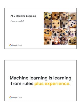 AI & Machine Learning
Puppy or muﬃn?
Machine learning is learning
from rules plus experience.
 