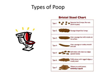 Easy pooping | PPTX