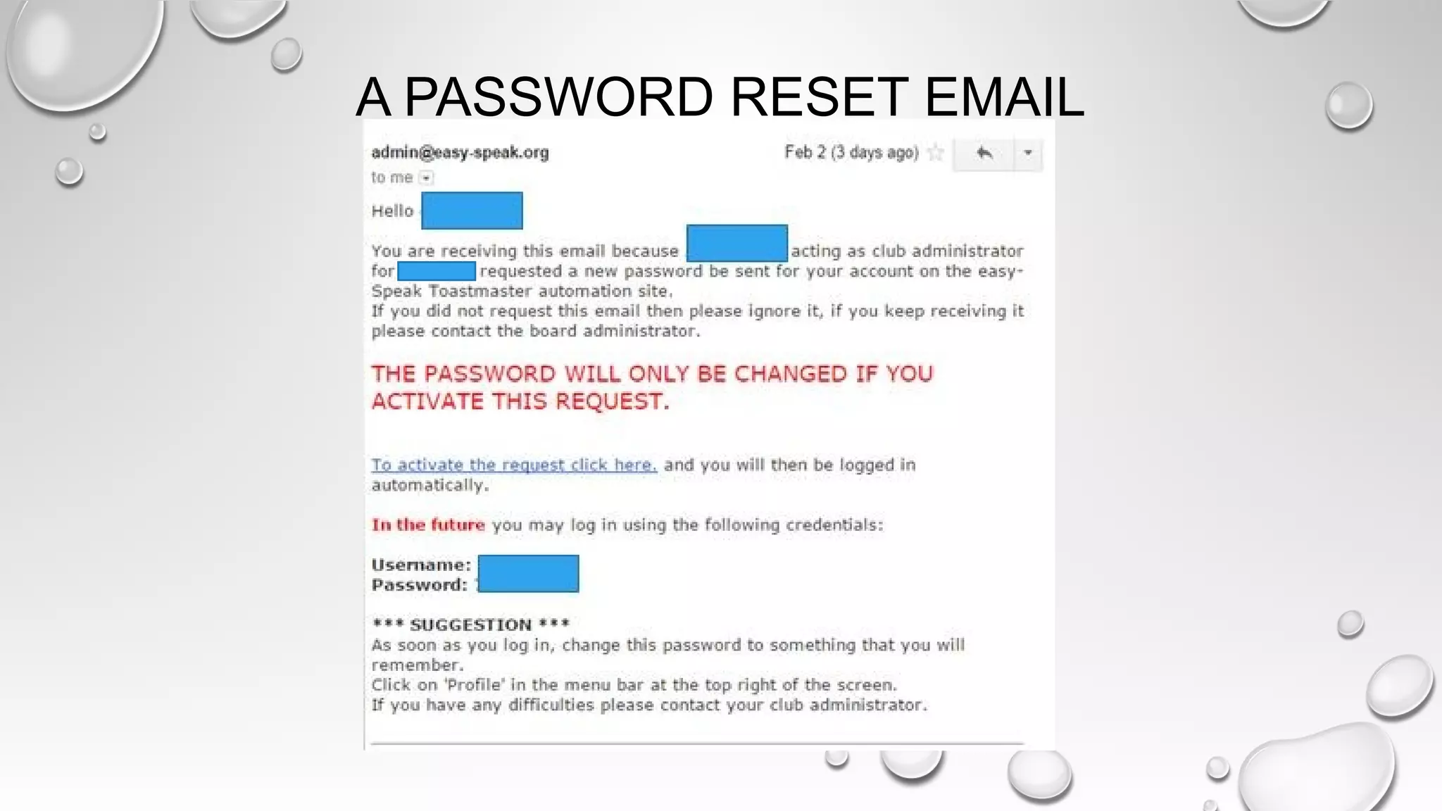 A PASSWORD RESET EMAIL