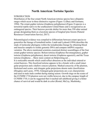 North American Tortoise Species
NTRODUCTION
Distribution of the four extant North American tortoise species have allopatric
ranges which occur in three distinctive regions (Figure 1) (Bury and Germano,
1994). The extant gopher tortoise (Gopherus polyphemus) (Figure 2) species is a
terrestrial reptile native to the southeastern United States and is recognized as an
endangered species. Their burrows provide shelter for more than 350 other animal
groups designating them as a keystone species of longleaf pine forests (Natural
Resources Conservation Service, 2017).
Paleontological evidence was compiled to differentiate between extant species to
generalize the lineage of testudinid turtles. Lamb and Lydeard (1994) describes the
study of molecular phylogeny within the testudinoidea lineage by obtaining blood
and muscles samples to isolate genomic DNA and compare mtDNA sequence
variation. The above mentioned scientists examined distinct assemblages of the four
extant gopher tortoise species: Bolson tortoise (Gopherus flavomarginatus), gopher
tortoise (Gopherus polyphemus), desert tortoise (Gopherus agassizii), and the Texas
tortoise (Gopherus ... Show more content on Helpwriting.net ...
It is noticeable smooth which could reflect abrasions as the individual entered or
exited burrows. This fossilized tortoise appears to be a female with a small intact
gular projection and a shallow concave plastron. Marked concavity of the plastron,
thickened anal scutes, and elongate gular projections denote male classification
(Douglass and Layne, 1978). Enlarged gular projections are a sex characteristic
and used in male male combat during mating season. Growth rings on the scutes of
the CCNHM 1710 plastron were not visible however, due to the carapace length of
CCNHM 1710, it can be suggested that it reached sub adulthood giving it a better
chance of survival and would be dark in color (Rostal, McCoy, Mushinsky,
 