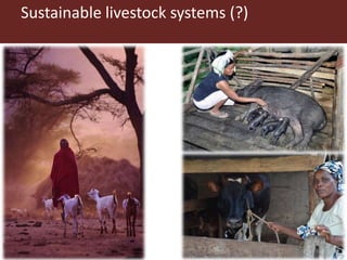 Livestock enhanced diets in the first 1,000 days: pathways to healthy and sustainable futures in low-income countries?