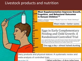 Livestock enhanced diets in the first 1,000 days: pathways to healthy and sustainable futures in low-income countries?