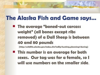 The Alaska Fish and Game says… The average “boned-out carcass weight” (all bones except ribs removed) of a Dall Sheep is between 40 and 80 pounds (http://wildlife.alaska.gov/index.cfm?adfg=hunting.planning#during) This number is an average for both sexes.  Our tag was for a female, so I will use numbers on the smaller side . 