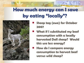 How much energy can I save by eating “locally”?  Sheep tag (ewe) for October 2007  What if I substituted my beef consumption with a locally harvested Dall sheep?  Would this use less energy? How do I compare energy consumption to harvest beef versus wild sheep? 