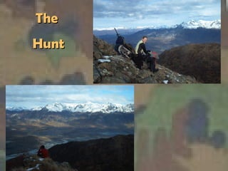 The  Hunt 
