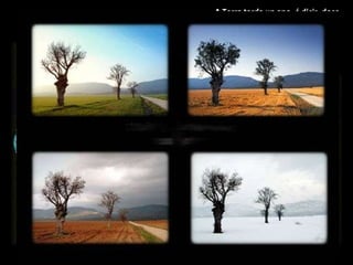 verán outono inverno primavera A Terra tarda un ano, é dicir, doce meses, en dar unha volta o arredor do Sol.  Movemento de Traslación . Este movemento  orixina as catro estacións : primavera, verán, outono e inverno 