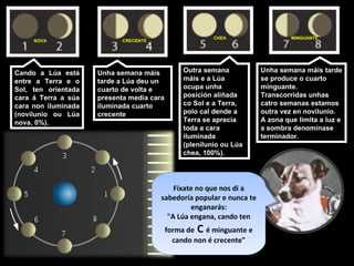 Unha semana máis tarde a Lúa deu un cuarto de volta e presenta media cara iluminada cuarto crecente Outra semana máis e a Lúa ocupa unha posición aliñada co Sol e a Terra, polo cal dende a Terra se aprecia toda a cara iluminada (plenilunio ou Lúa chea, 100%).  Unha semana máis tarde se produce o cuarto minguante. Transcorridas unhas catro semanas estamos outra vez en novilunio. A zona que limita a luz e a sombra denomínase terminador. Cando a Lúa está entre a Terra e o Sol, ten orientada cara á Terra a súa cara non iluminada (novilunio ou Lúa nova, 0%).  NOVA CRECENTE CHEA MINGUANTE Fíxate no que nos di a sabedoría popular e nunca te enganarás: "A Lúa engana, cando ten forma de  C  é minguante e cando non é crecente" 