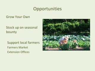 Opportunities
Grow Your Own

Stock up on seasonal
bounty

Support local farmers
Farmers Market
Extension Offices
 