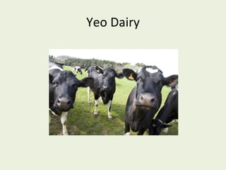Yeo Dairy
 