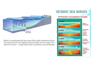 SEISMIC SEA WAVES
When an earthquake jolts the ocean floor, plate movement causes
the ocean floor to rise slightly and push water out of its way. This
leads to Tsunami – a large water wave caused by a sea earthquake.
 