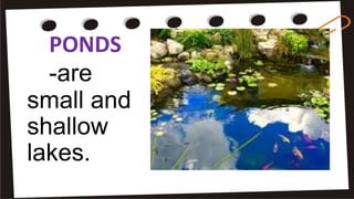 PONDS
-are
small and
shallow
lakes.
 