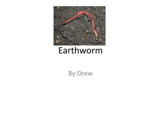 Earthworm
By:Drew
 
