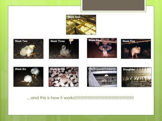 … and this is how it works!!!!!!!!!!!!!!!!!!!!!!!!!!!!!!!!!!!!!!!!!!!!!!!!!! 