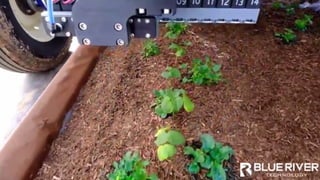 Soon we’re all going to be eating data, one byte at a time