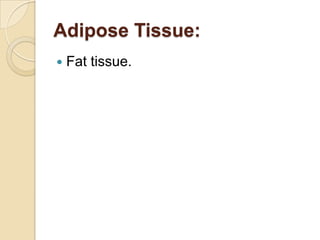 Adipose Tissue:Fat tissue. 