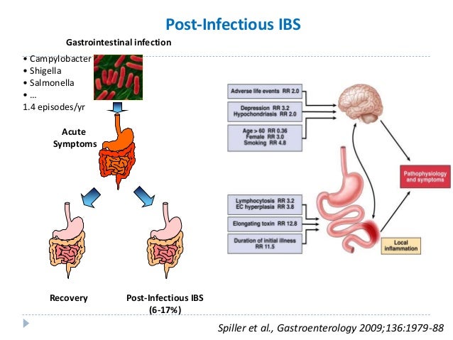 Microbiota, leaky gut syndrome and gutrelated diseases