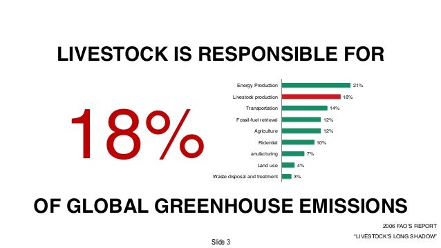 Deforestation case study brazil